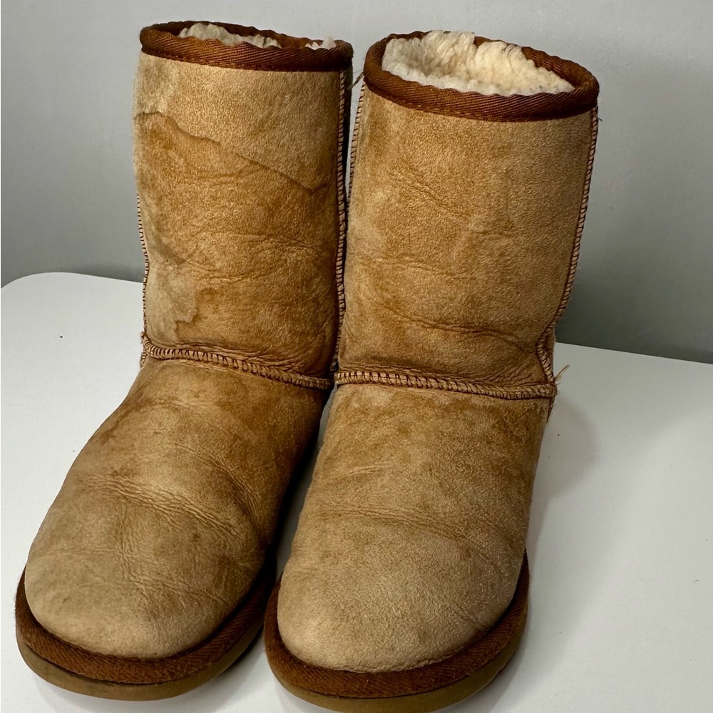 UGG Chestnut Ankle Booties